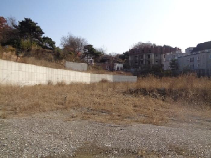 사진 13