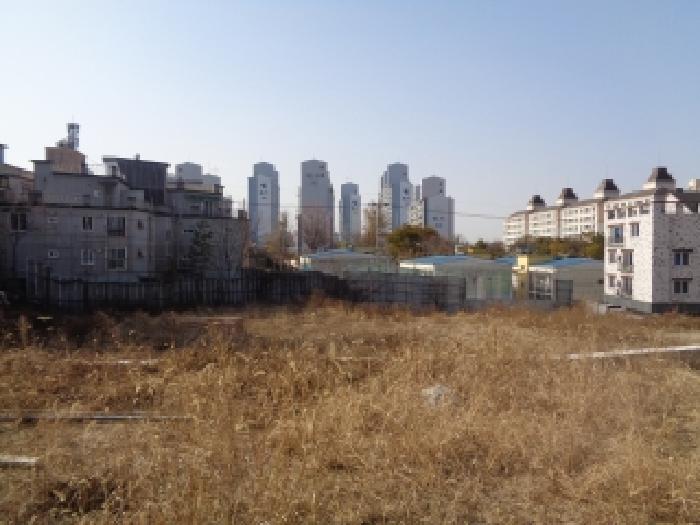 사진 19