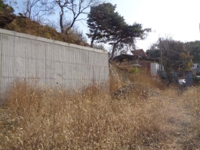 사진 2