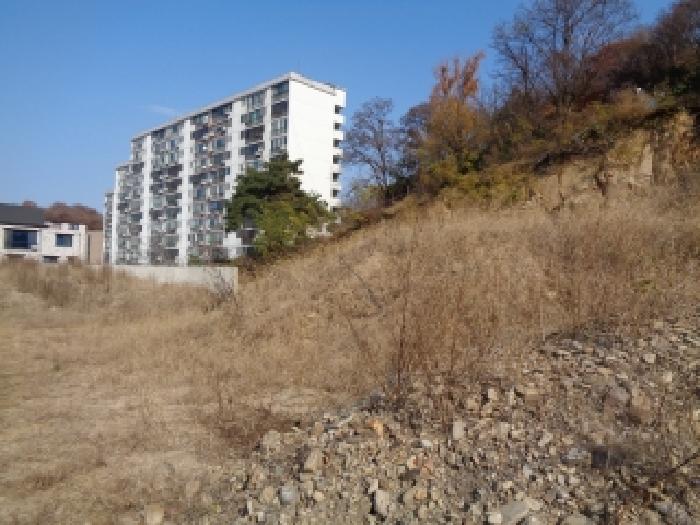 사진 3