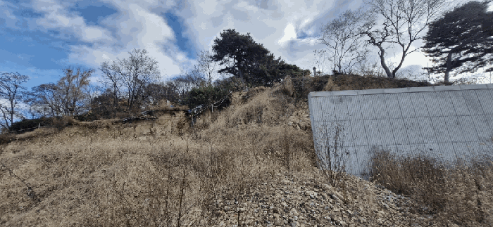 사진 37