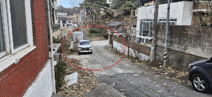 사진 41