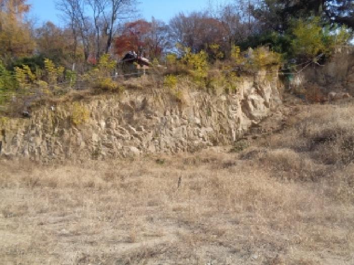 사진 7