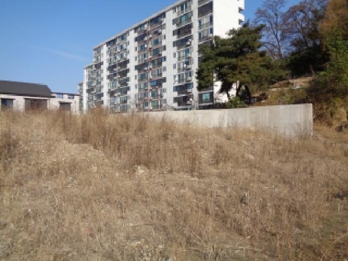 사진 8