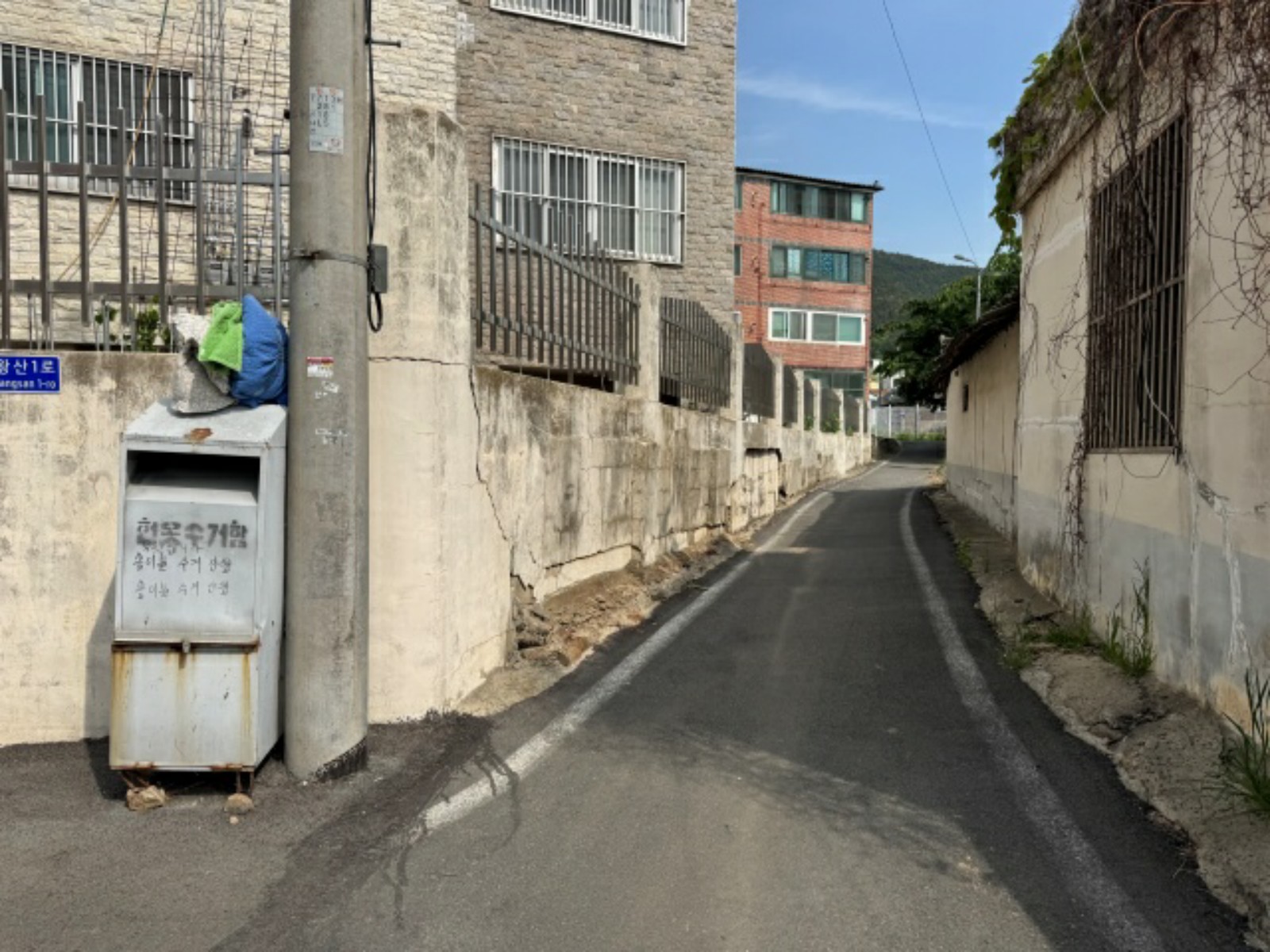 사진 1