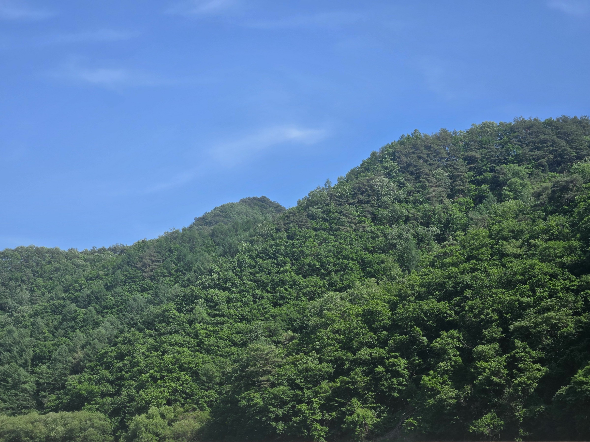 사진 1