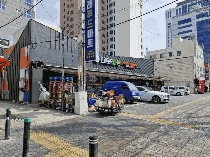 사진 12