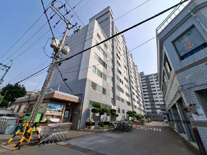 사진 10