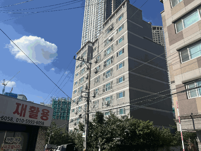 사진 8