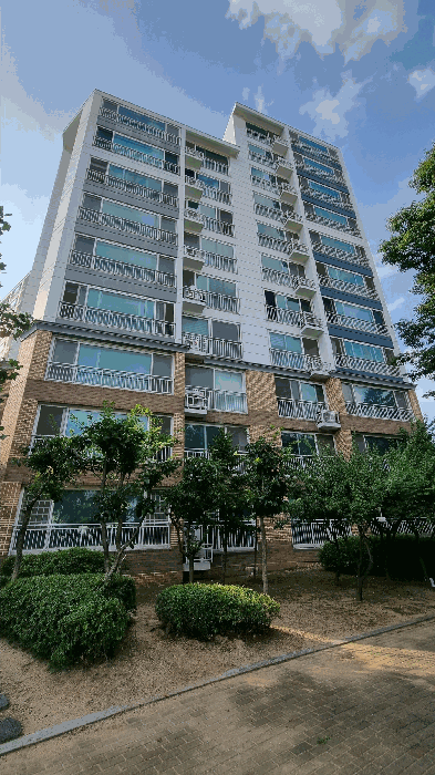 사진 3