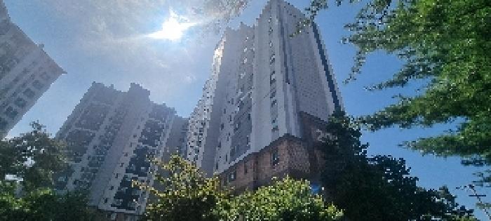 사진 7