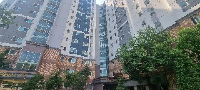 사진 8