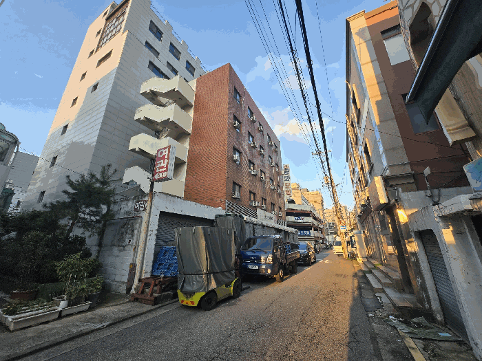 사진 6