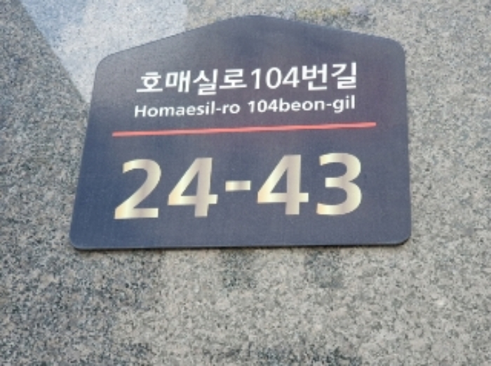 사진 12