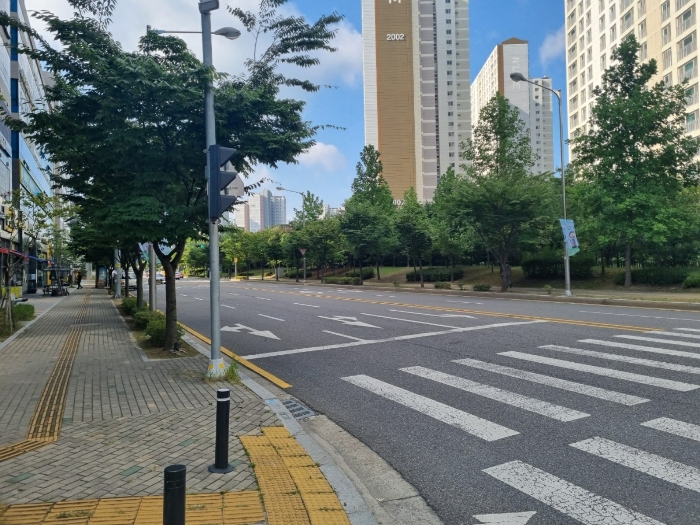 사진 6