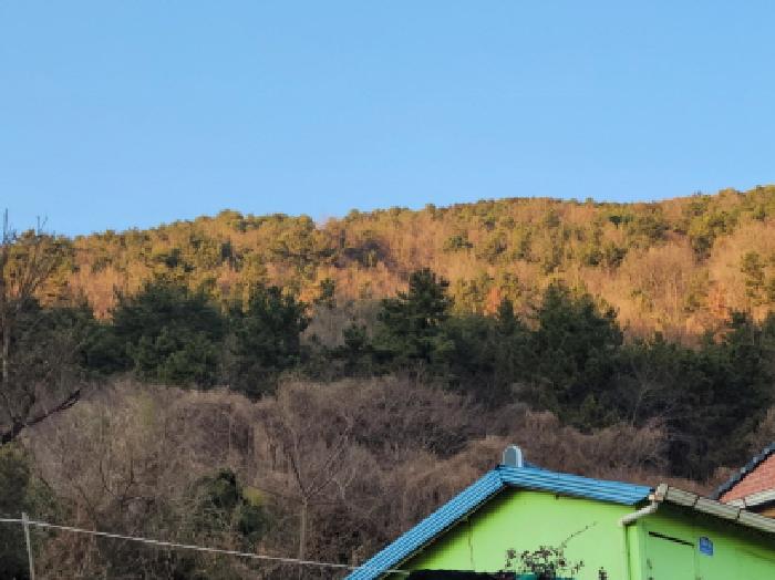 사진 1
