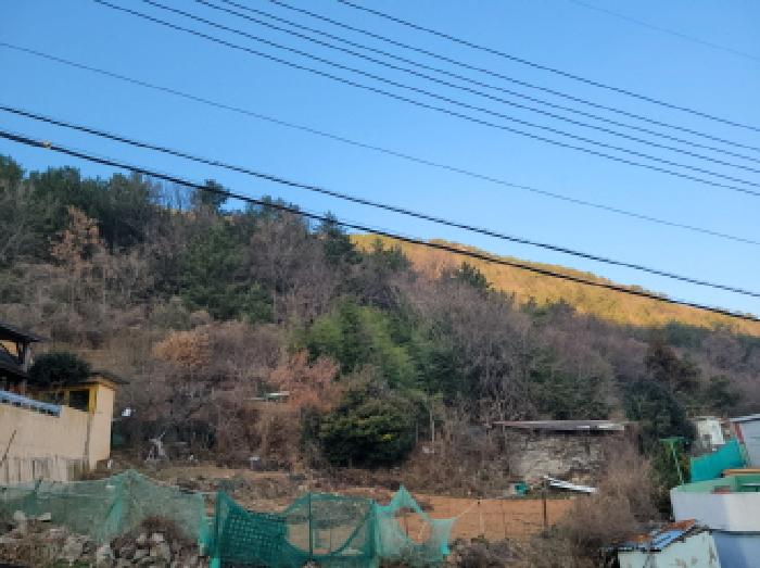 사진 14
