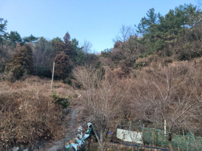 사진 15