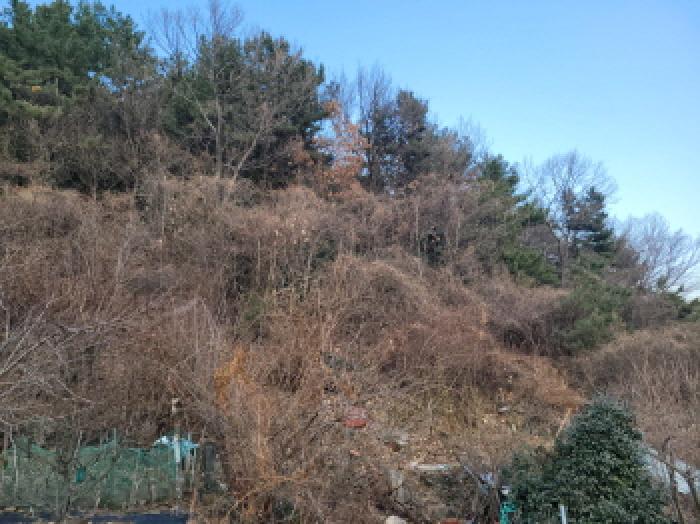 사진 16