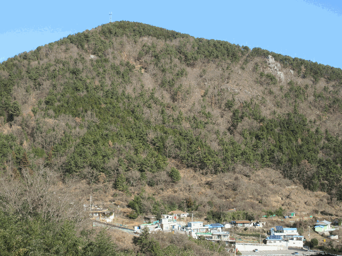 사진 6