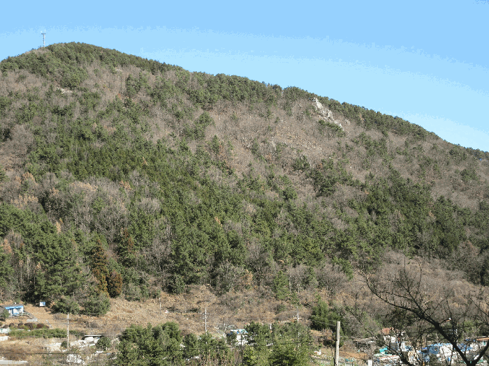 사진 8