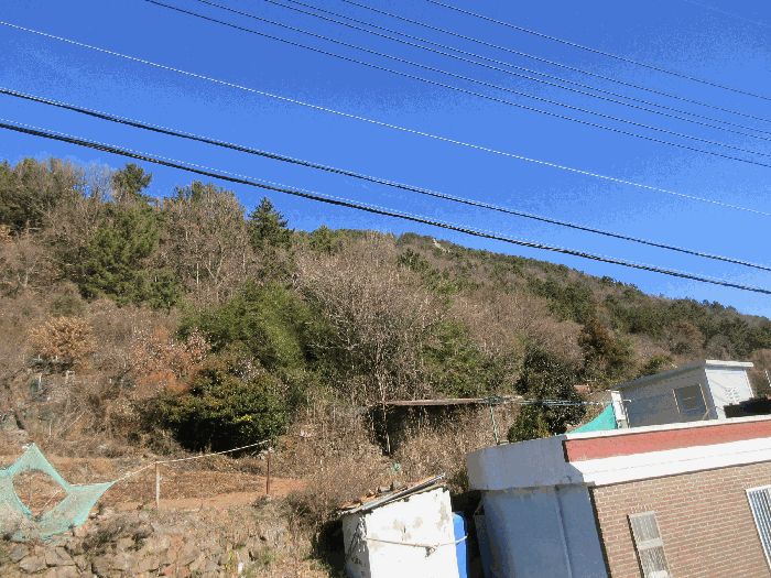 사진 10