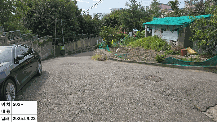 사진 11