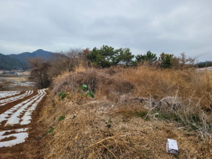 사진 15