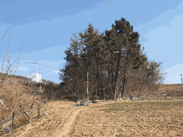 사진 5