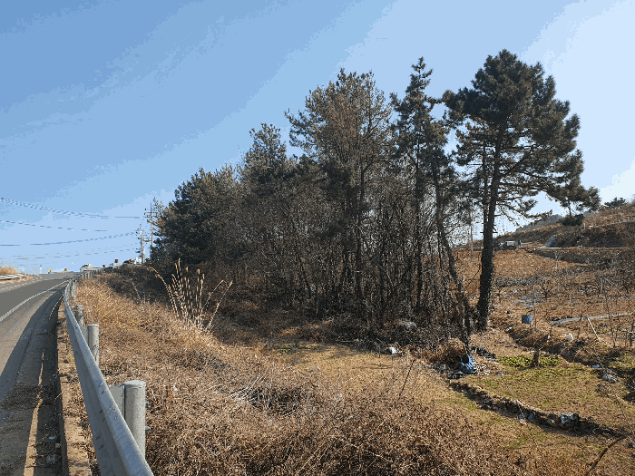 사진 9