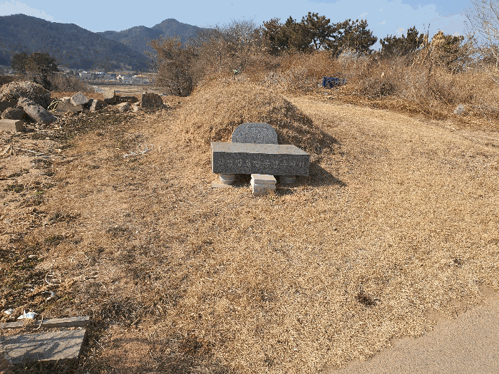 사진 10