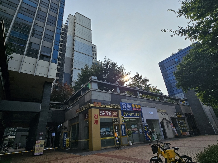 사진 11