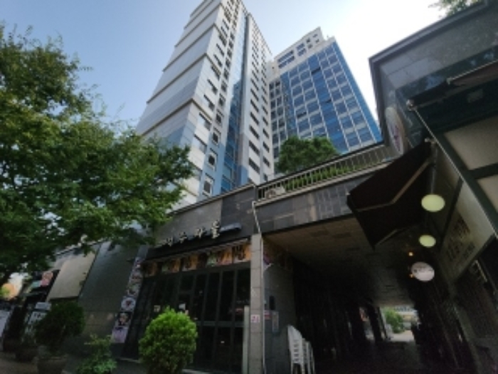 사진 8