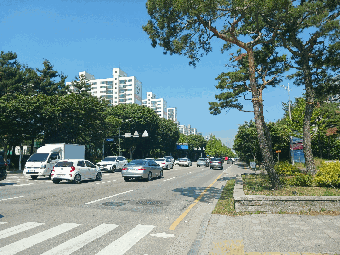 사진 15