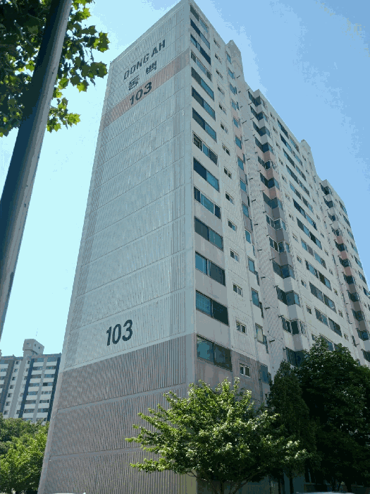 사진 6