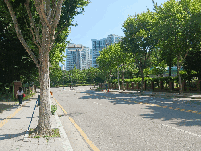 사진 9