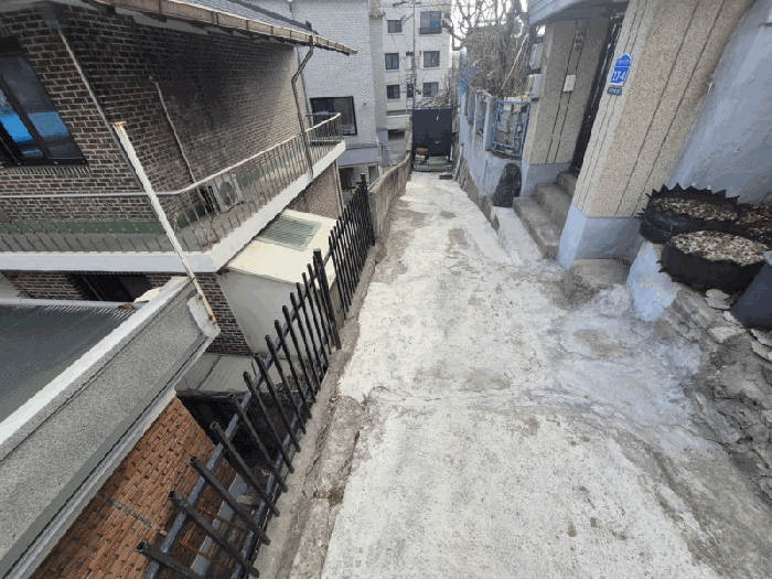 사진 19