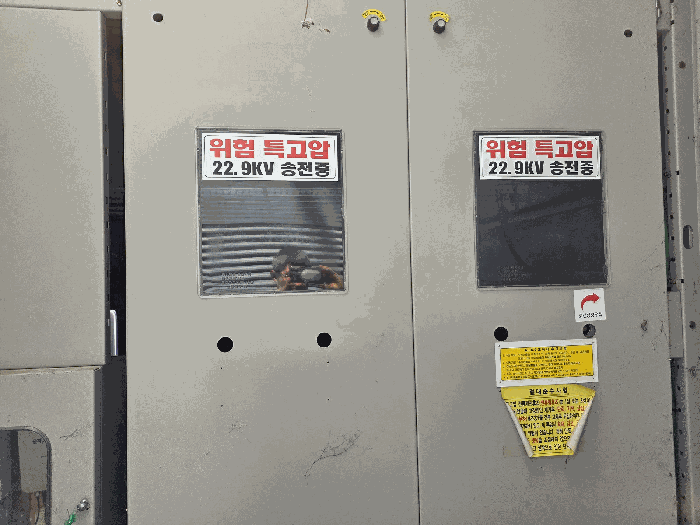 사진 13