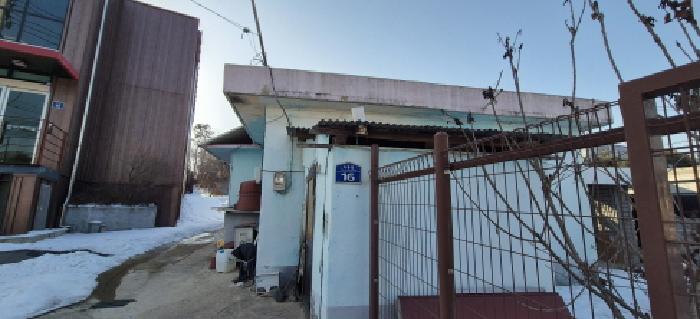 사진 5