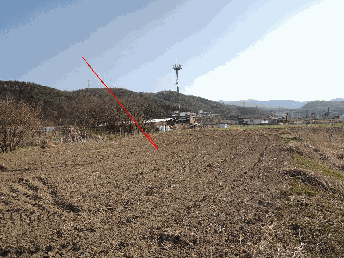 사진 11