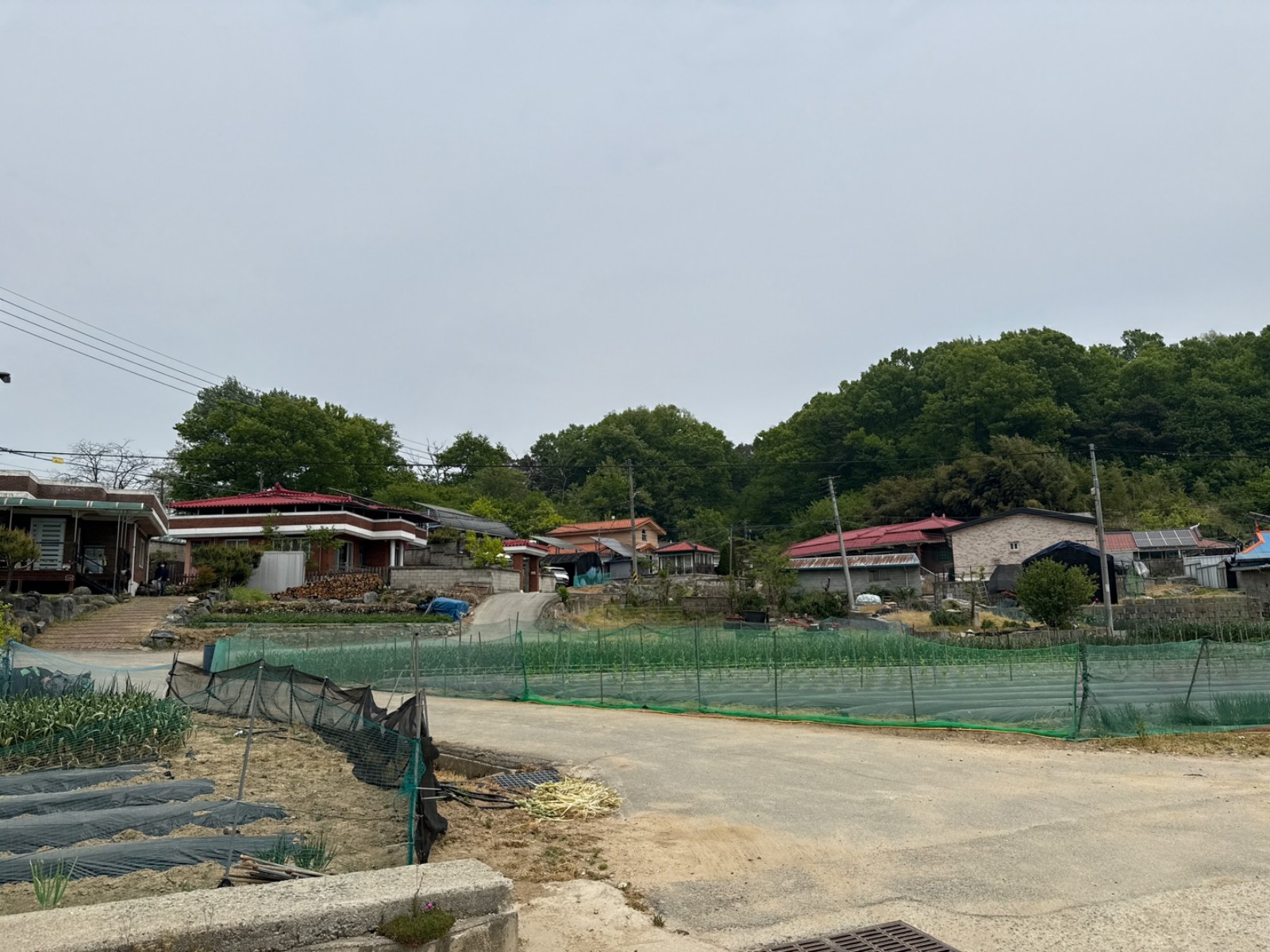 사진 1