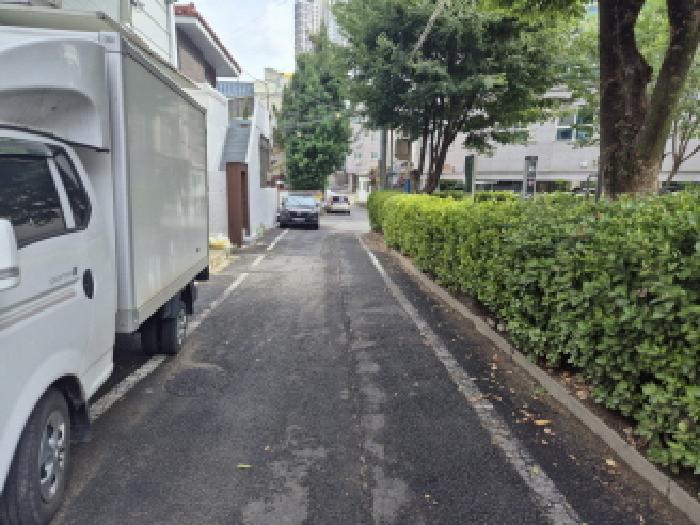 사진 33