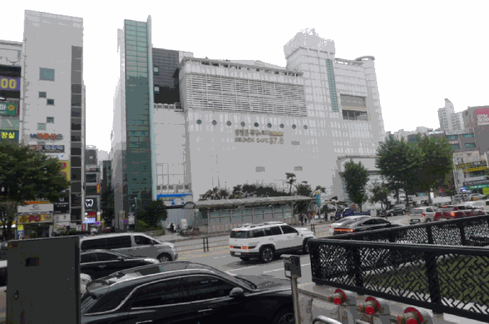 사진 10