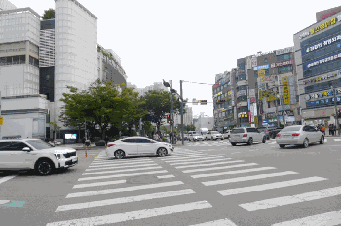 사진 11