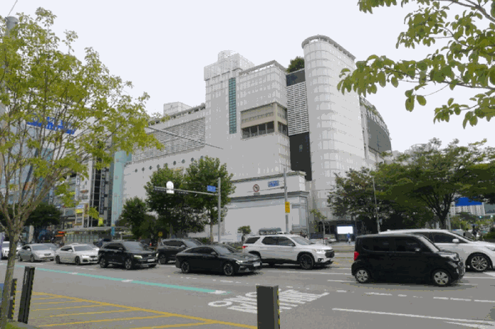 사진 12