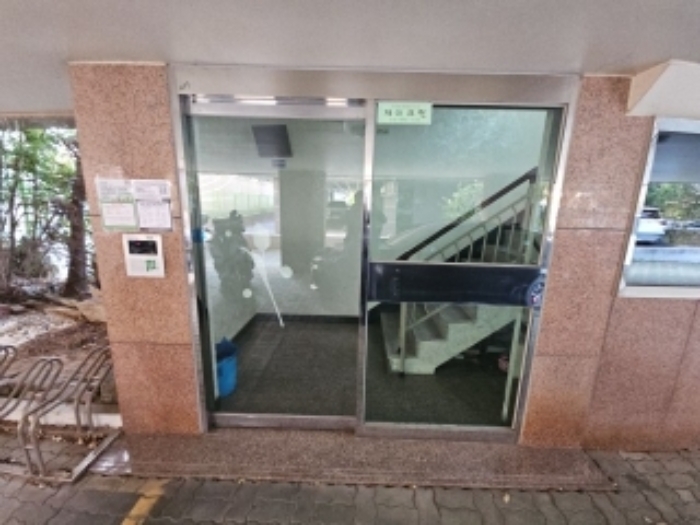사진 5