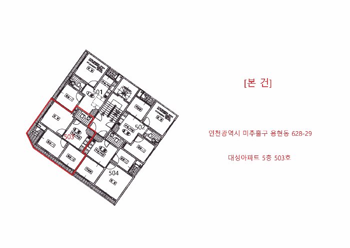 사진 5