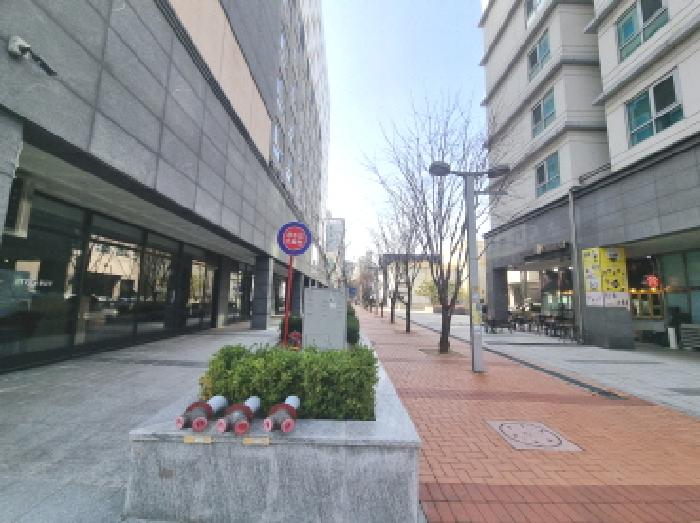 사진 9
