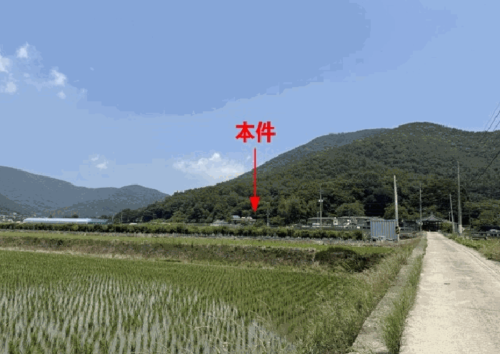 사진 3
