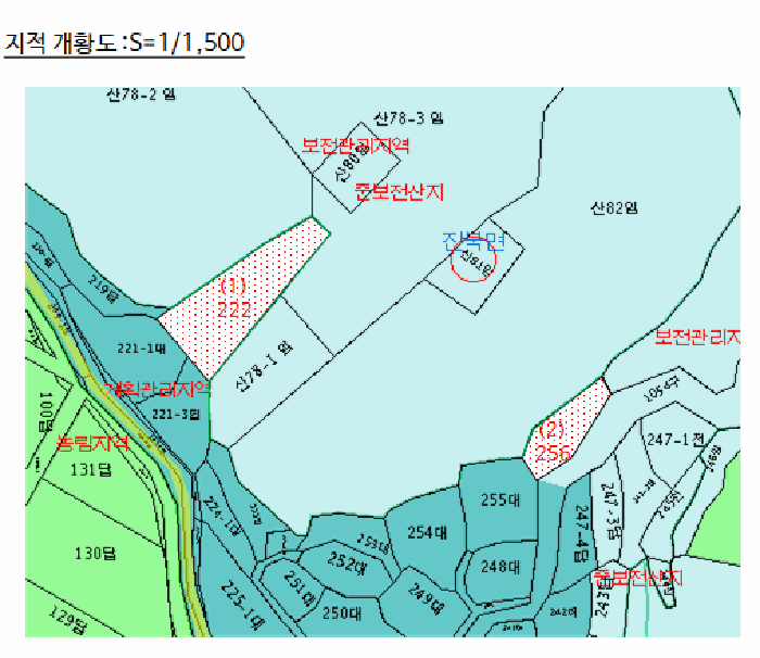 사진 7